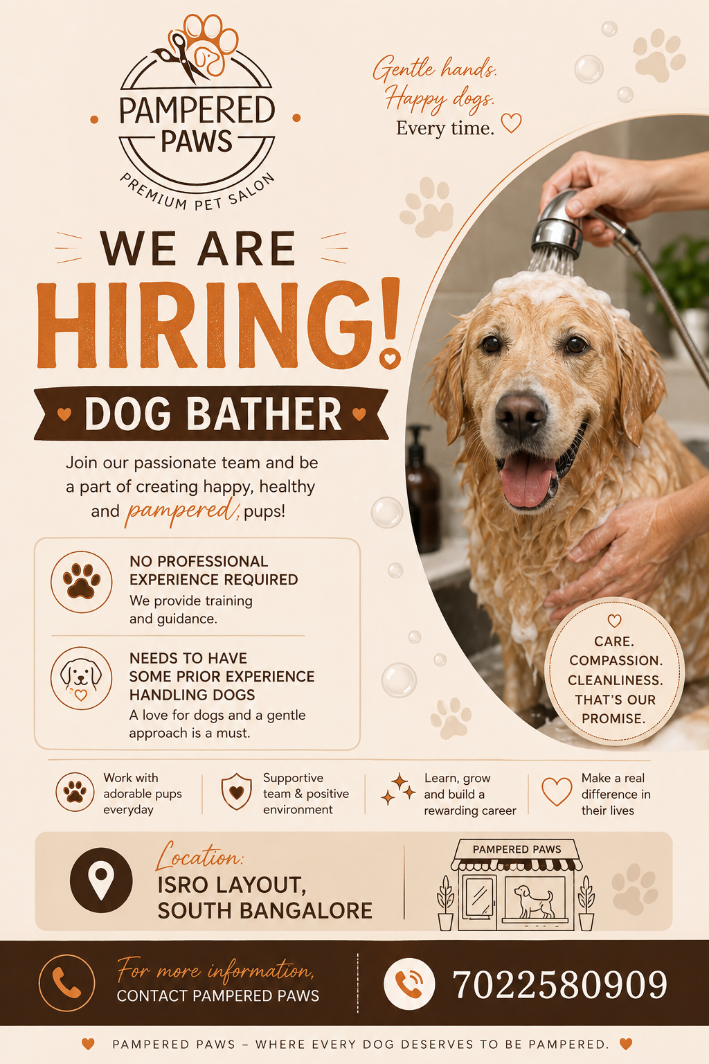 Pampered Paws grooming job opening