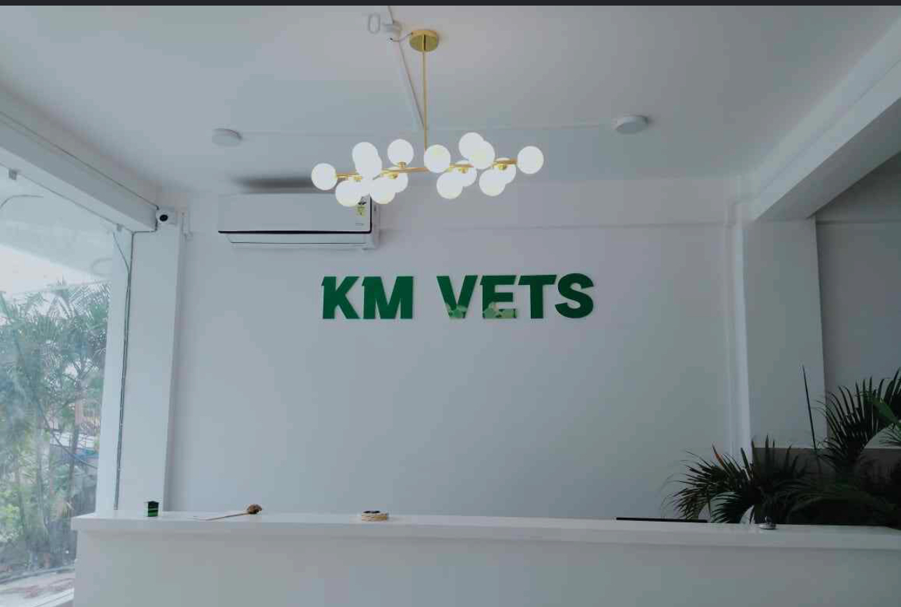 KM VETS grooming job opening