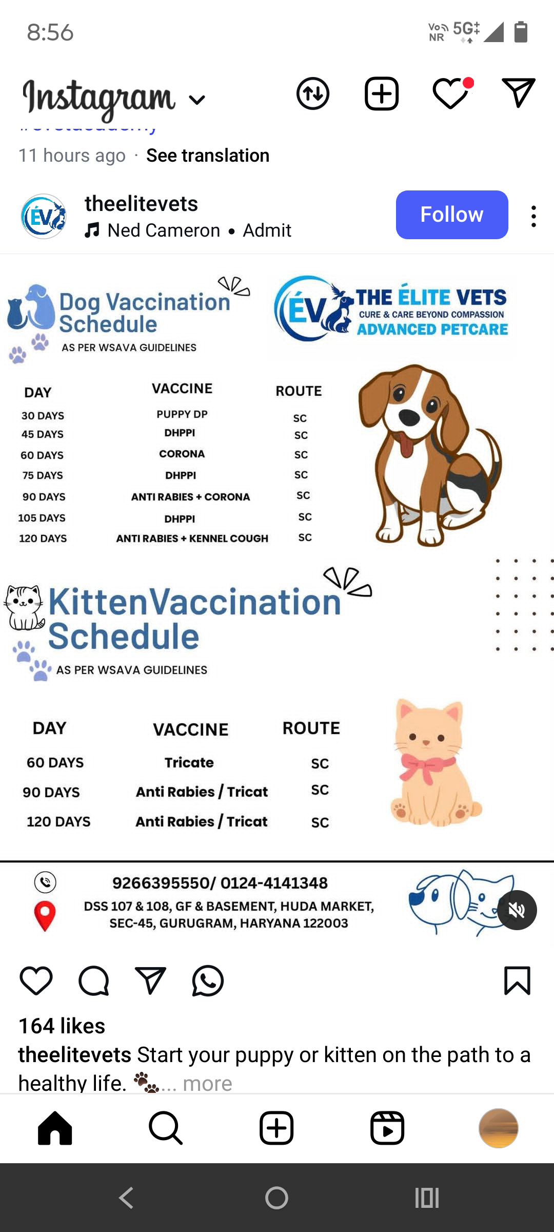 Happy Tails pet clinic grooming job opening